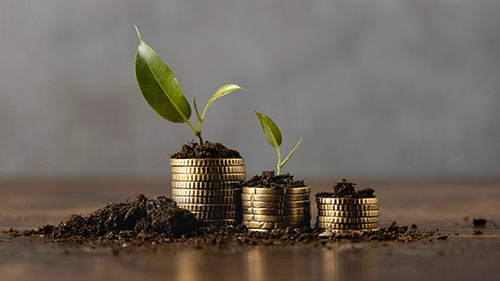 5 Tips to Make the Most from RD and SIP Investments