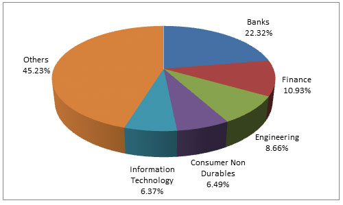 Graph 4: Top portfolio holdings in Canara Robeco Emerging Equities Fund