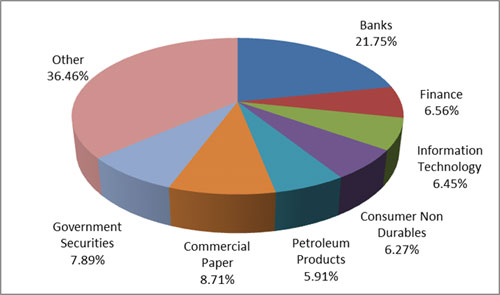 Graph 4: Top portfolio holdings in Mirae Asset Hybrid Equity Fund