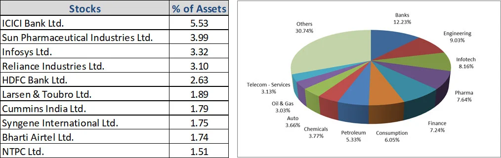 What are the top portfolio holdings in ICICI Pru Multi Cap Fund? 