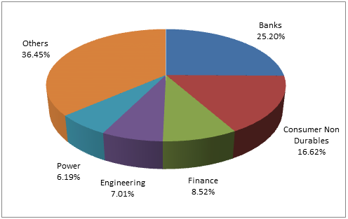 Kotak Standard Multi-cap Fund Top Portfolio Holdings